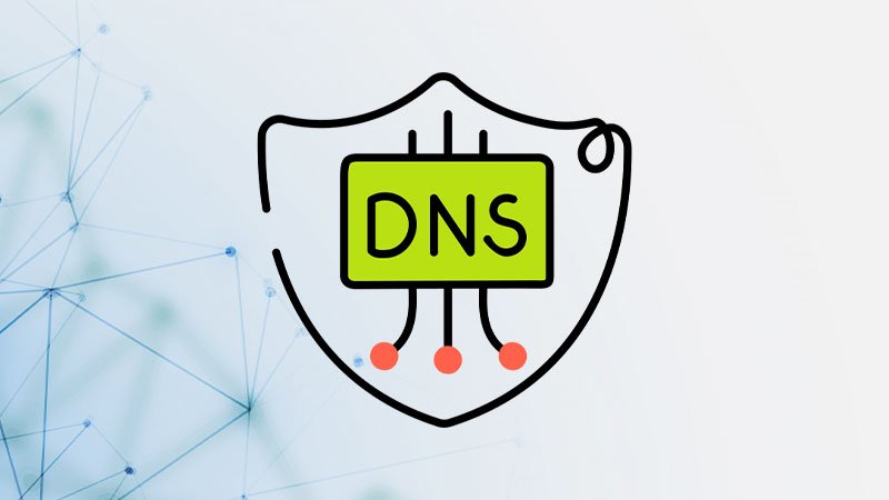 DNS Lookup Tool