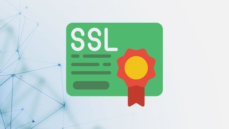 SSL Certificate Checker